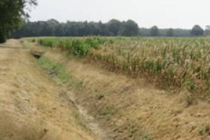 Verdroging Achterhoek en Liemers